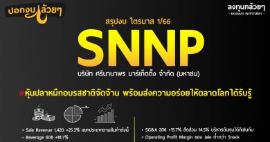 สรุปงบ หุ้น SNNP ไตรมาส 1/2566