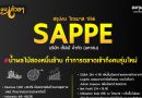 สรุปงบ หุ้น SAPPE ไตรมาส 1/2566