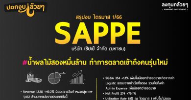 สรุปงบ หุ้น SAPPE ไตรมาส 1/2566