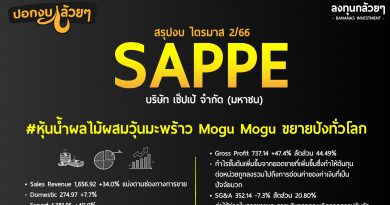 สรุป Oppday และ งบการเงิน หุ้น SAPPE ไตรมาส 2/2566