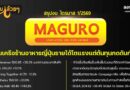 #สรุปงบการเงิน และ Earnings Call หุ้น MAGURO ไตรมาส 1/2569