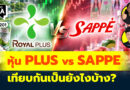 หุ้น PLUS vs SAPPE เทียบกันเป็นยังไงบ้าง? | Q&A กล้วยๆ EP.1201